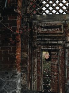 wooden-door-beside-brick-wall-3117435